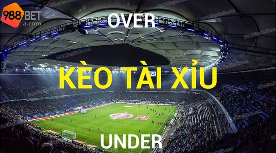 Cách đọc kèo từ chuyên gia 
