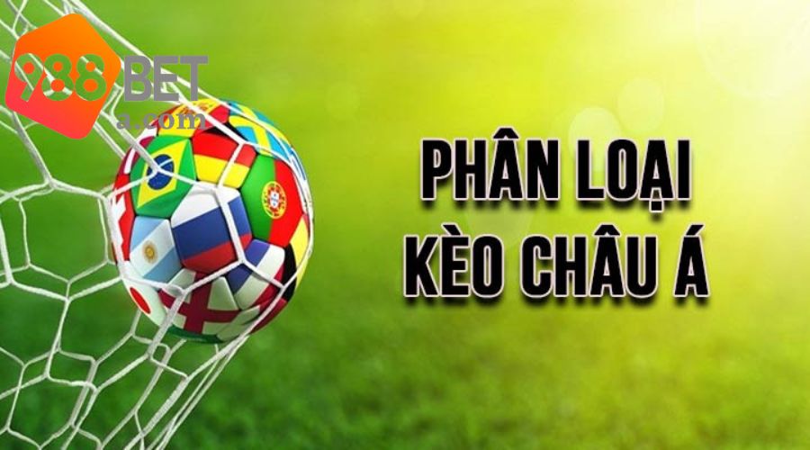 Những thể loại cược hiện nay